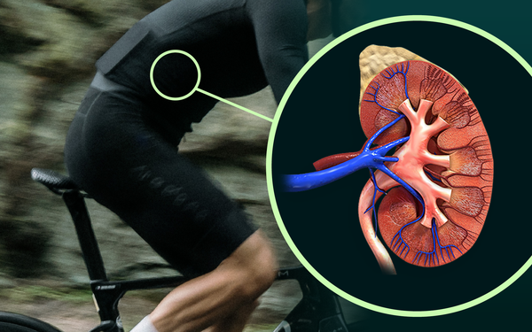 Posedla Academy | Urinary tract infections in cycling